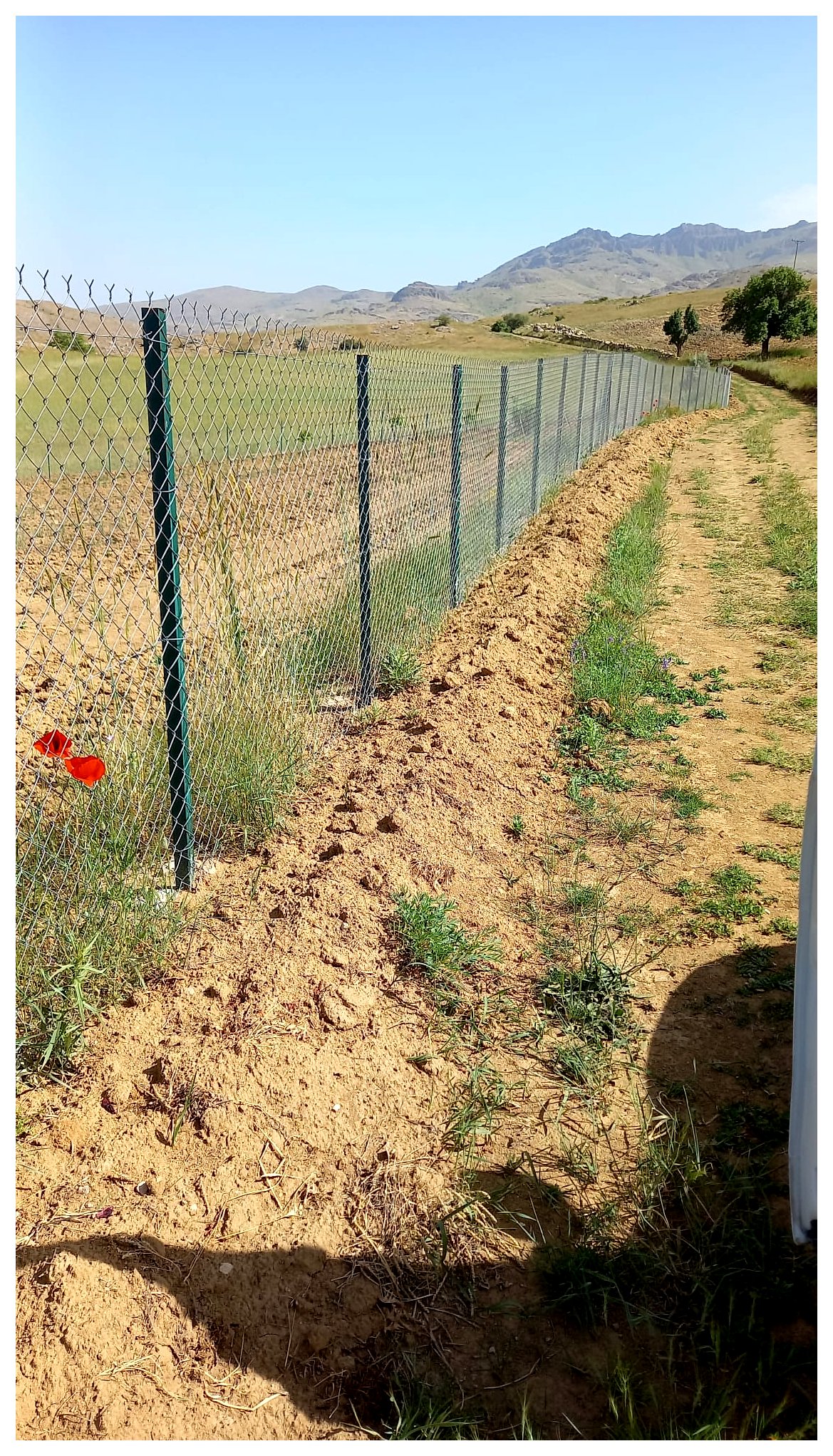 Köpek alanı için özel çit sistemi